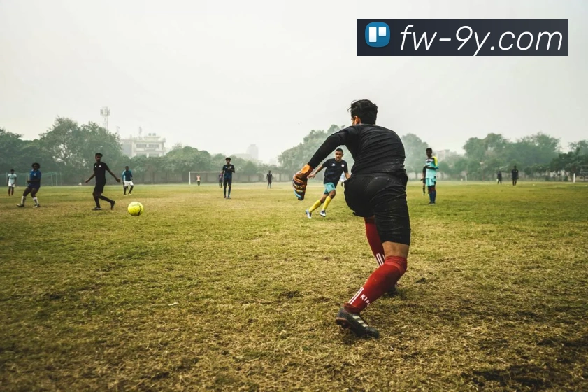 九游官网APP 封面图